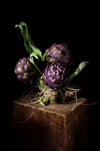 MONDiART Ninfa Cynara  80x120 cm (106139)