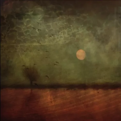 MONDiART Evening glow  100x100 cm (106218)