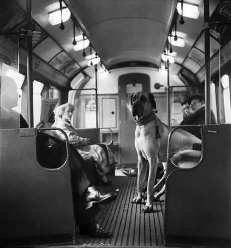 MONDiART The Subway 1950 100x100 cm (106289)