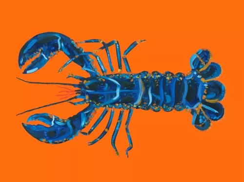 Lobstermania  80x120 cm