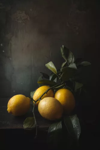 MONDiART Lemon still  120x180 cm (106786)