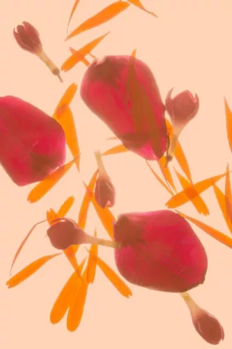 MONDiART Leaves in love  80x120 cm (106927)