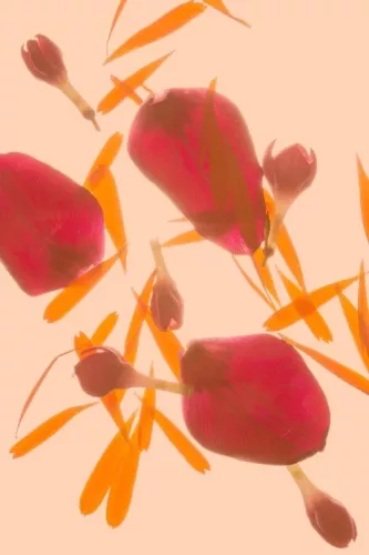 MONDiART Leaves in love  120x180 cm (106928)