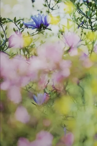 About beauty and solace  120x180 cm