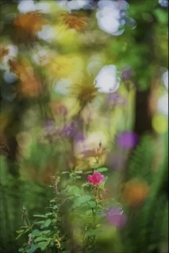 Heaven kissing the earth  80x120 cm