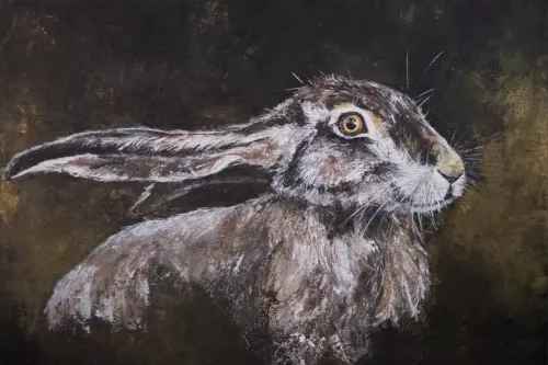 Hello There  120x180 cm