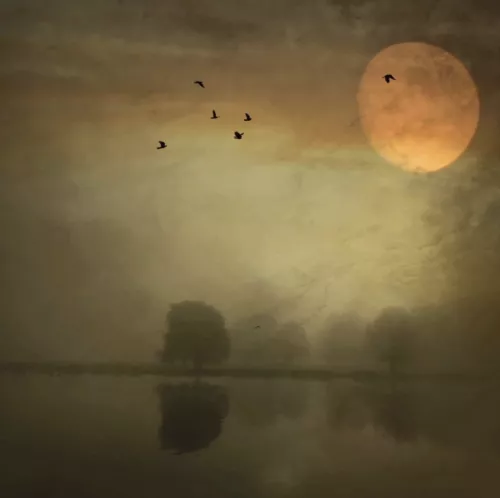 Moonlight dreams  80x80 cm