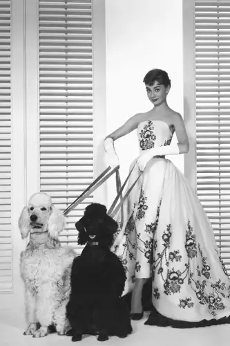MONDiART Audrey Hepburn dogs  (100107)
