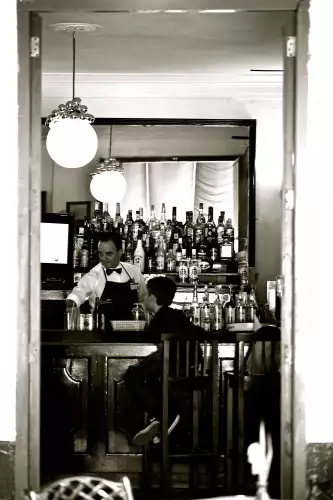 MONDiART Bar with bartender  (100246)