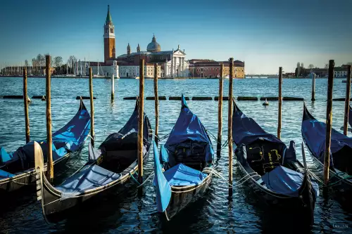 Venice gondola day 