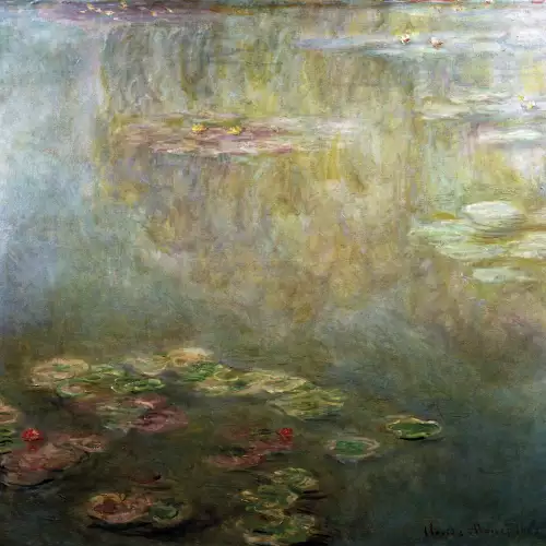 Water Lilies 