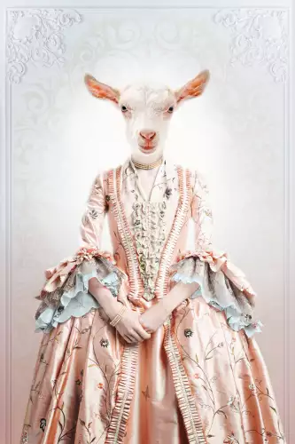 Royal lady goat 