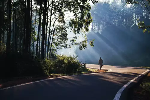 Man walking India Munnar 