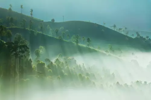 Munnar mist India 
