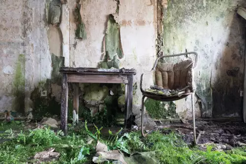 Still life table & chair 