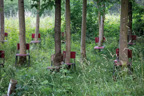 MONDiART Forest with trees & chairs  (101703)