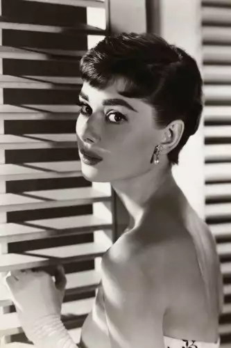 Audrey Hepburn blinds 