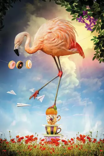 Dancing Flamingo 
