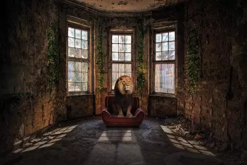 Urban Lion 