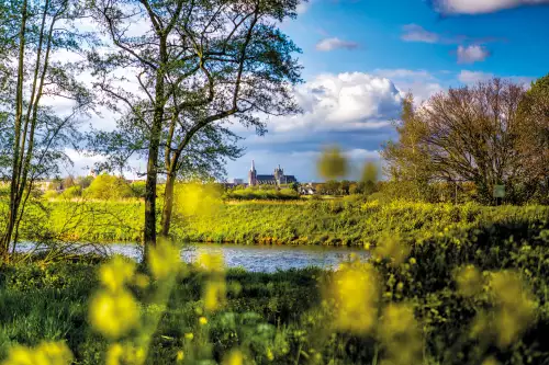 Green overgrown landscape 