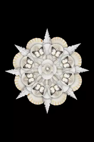 MONDiART White Kaleidoscope  (102332)