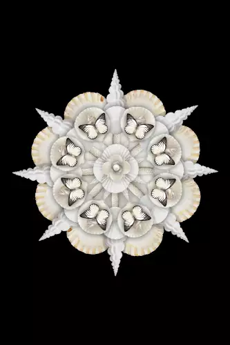 White Kaleidoscope 