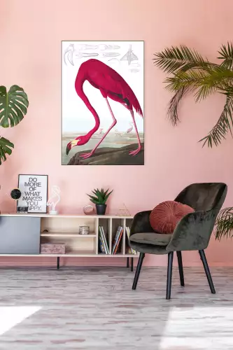 MONDiART American Flamingo  (102691)