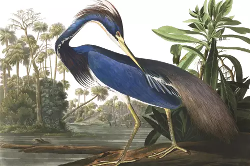 MONDiART Louisiana Heron  (102692)