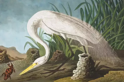 MONDiART White Heron  (102696)