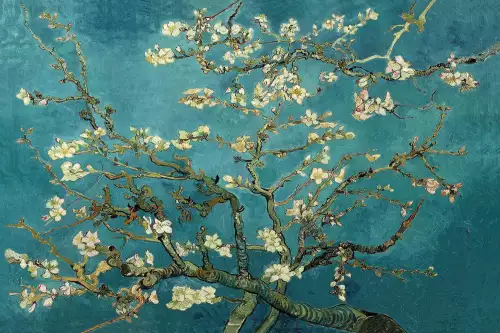 Blossom - Van Gogh 