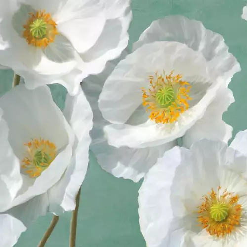 Poppies on mint I 