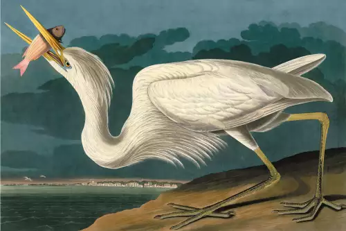 MONDiART Great White Heron  (102776)