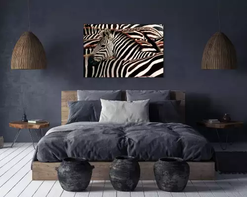 MONDiART Zebra  (102822)