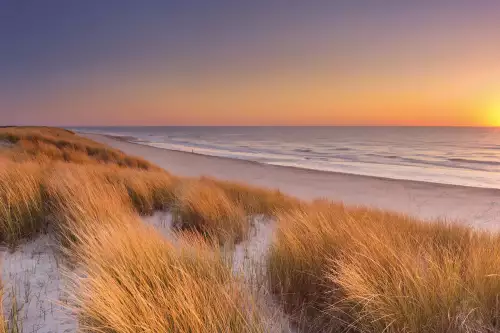 MONDiART Tall dunes with grass  (102858)