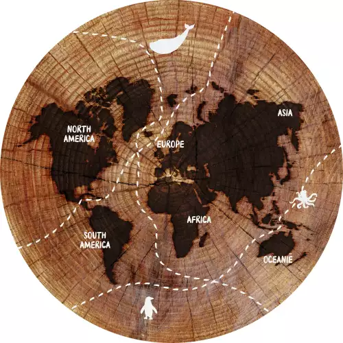 The world in wood 