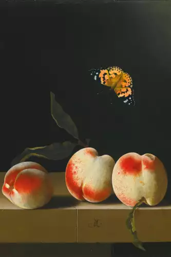 Three peaches & butterfly 