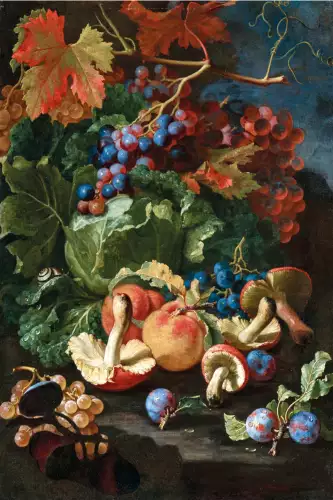 Fruit & Mushrooms 