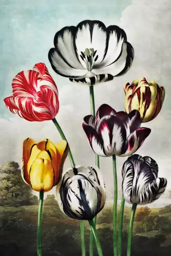 MONDiART Tulips from temple of flora  (103033)