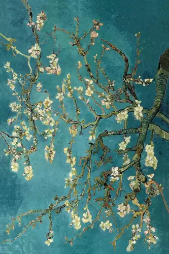 MONDiART Blossom - van Gogh  (103056)