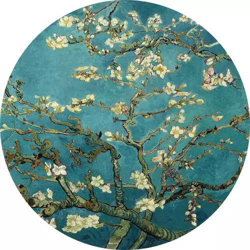 MONDiART Blossom - van Gogh  (103056)