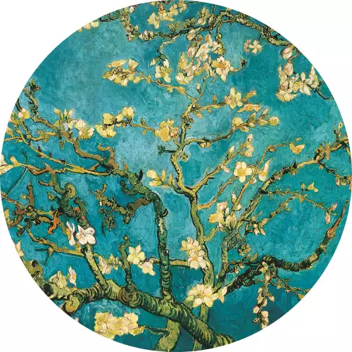 Blossom - van Gogh 