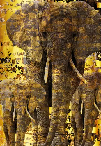 MONDiART Elephants  (103092)