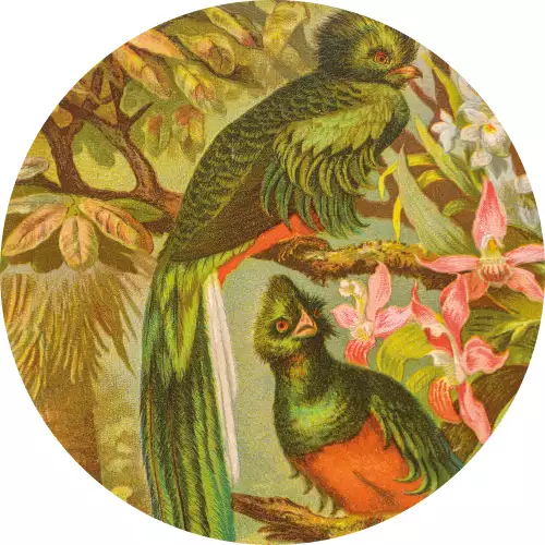 MONDiART Classic birds (103131)