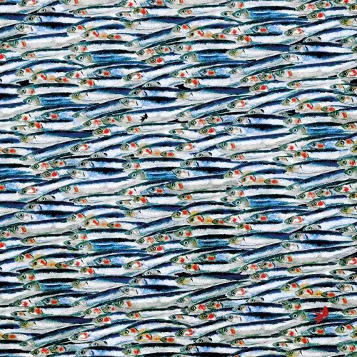 MONDiART Blue Sardines  (103289)