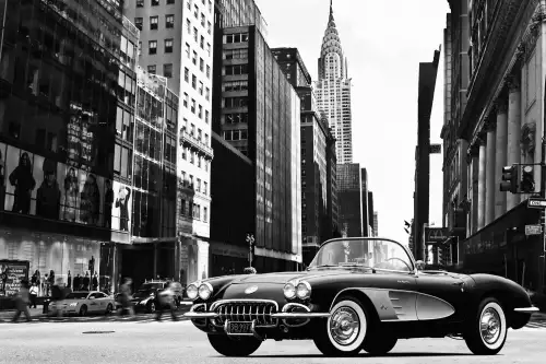 MONDiART Roadster in NYC  (103464)