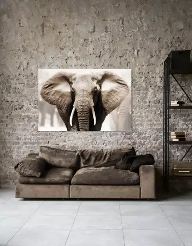 MONDiART African Elephant  (103468)