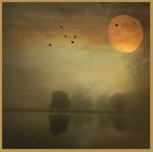 MONDiART Moonlight dreams - Frame BL Gold (104756)