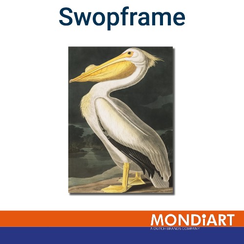 Swopframe